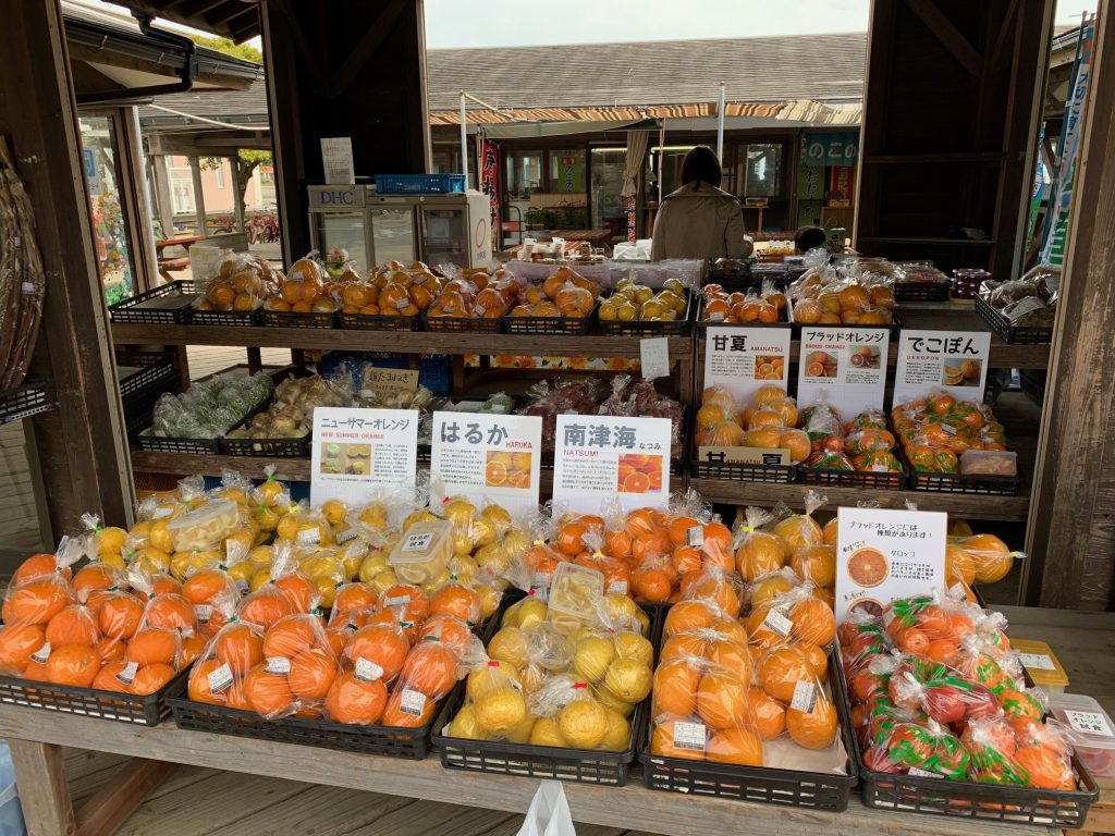 柑橘類の販売所