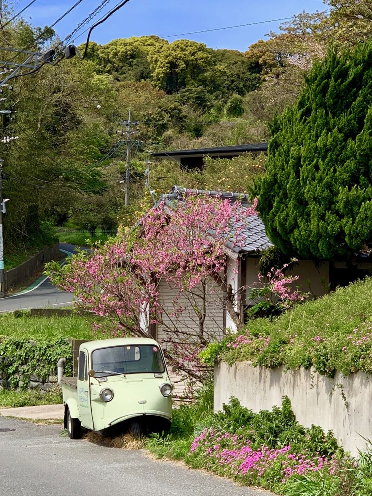 懐かしい三輪の車と桜