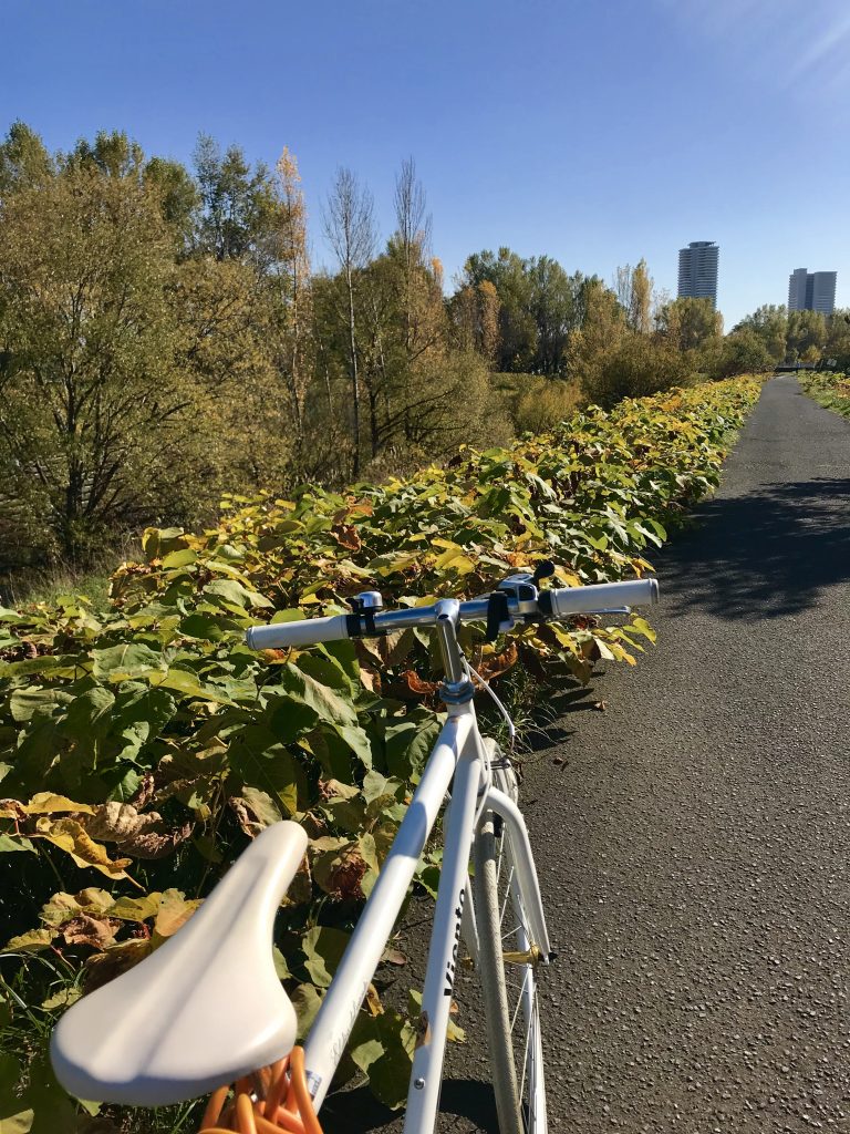 クロスバイクと自転車道路