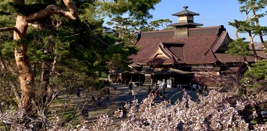 五稜郭にあった奉行所と桜、赤松