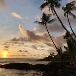 コナの海、沈む夕陽とヤシの木