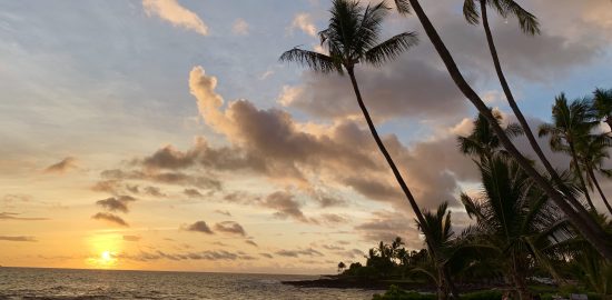 コナの海、沈む夕陽とヤシの木